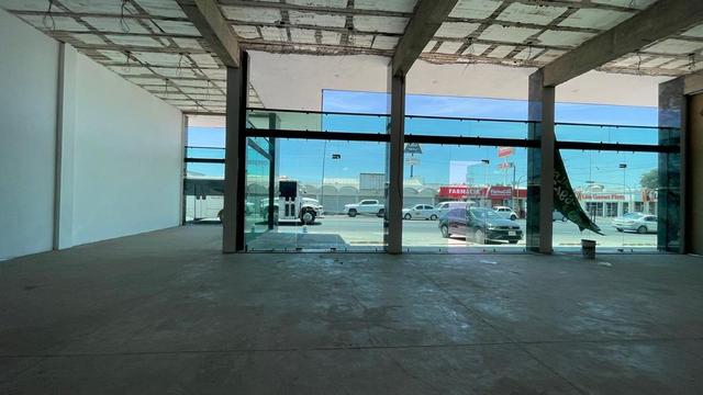 Foto de la galeria de imagenes