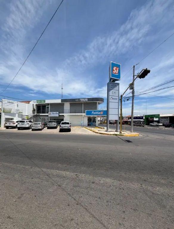 Foto de la galeria de imagenes